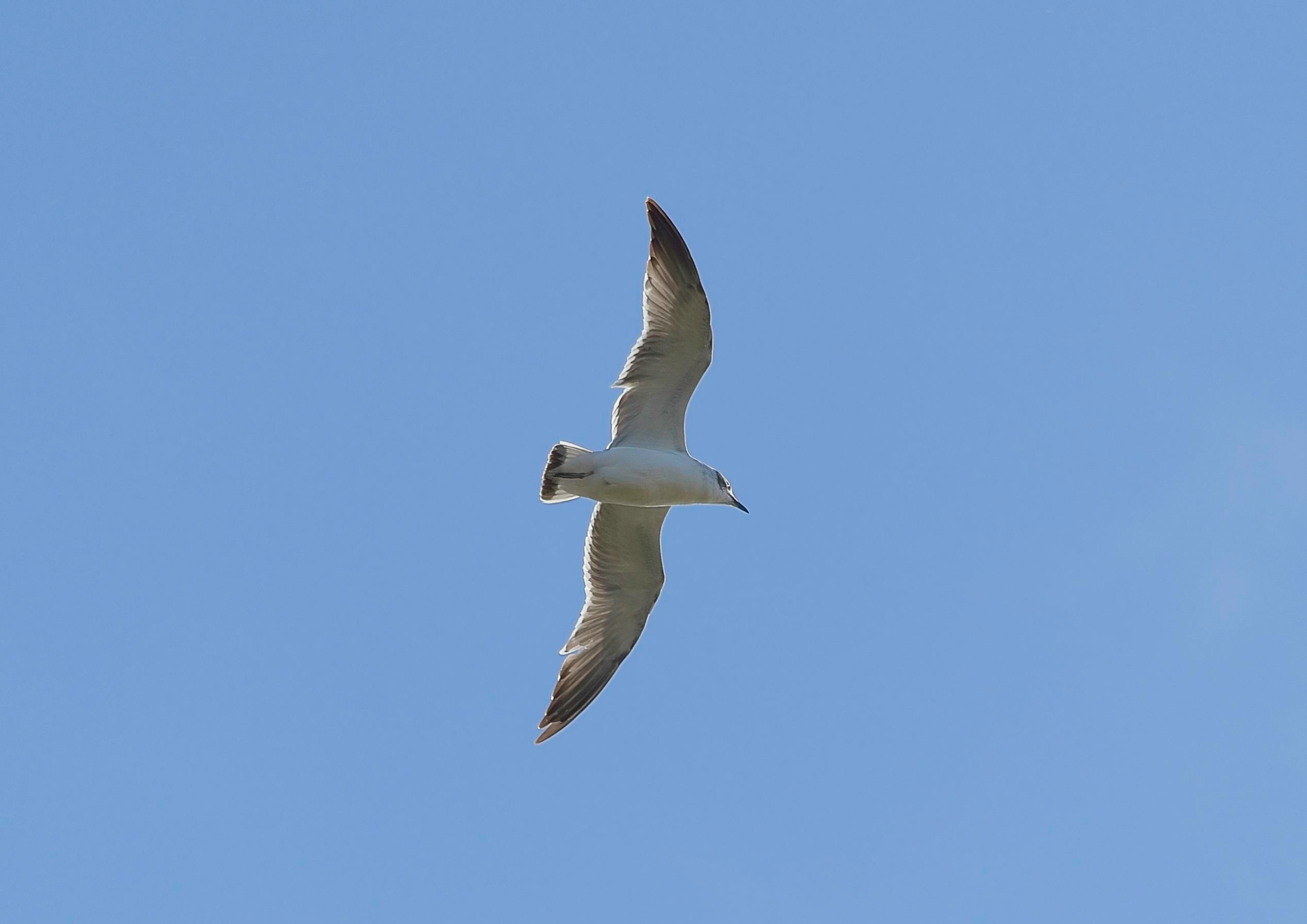 PA220410.jpg