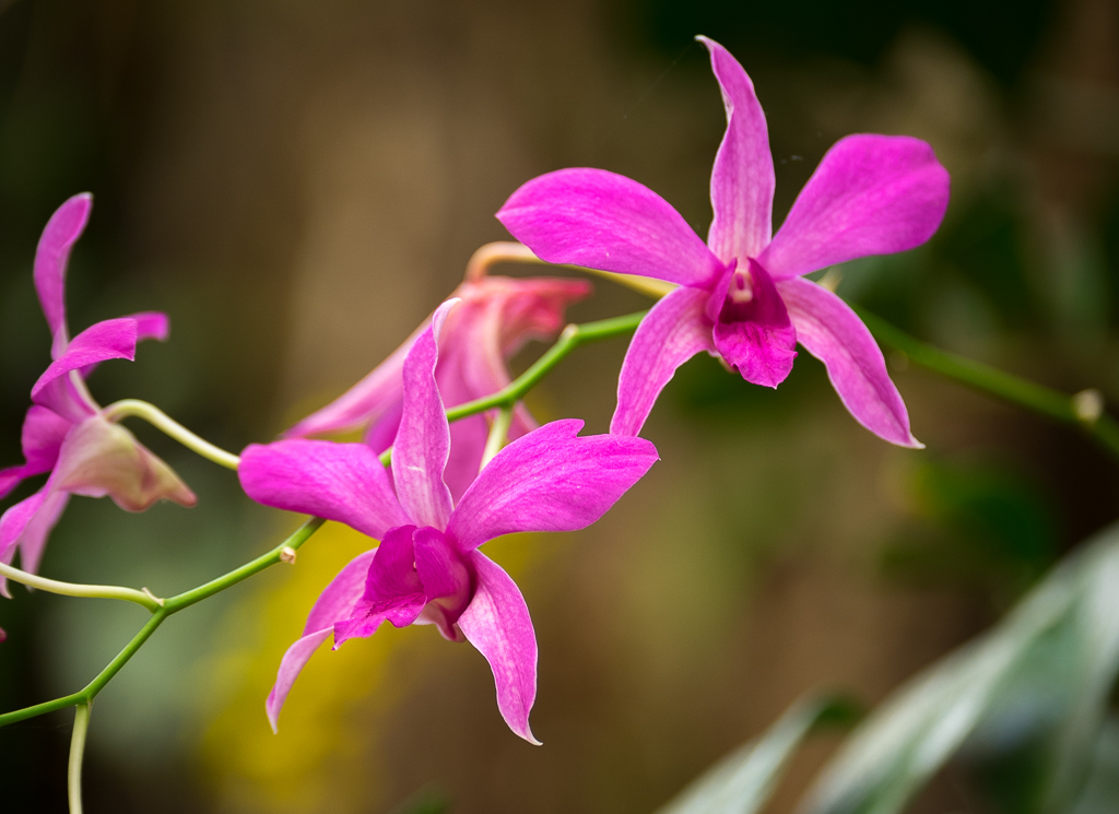 PalmitosPark20141021-2.jpg