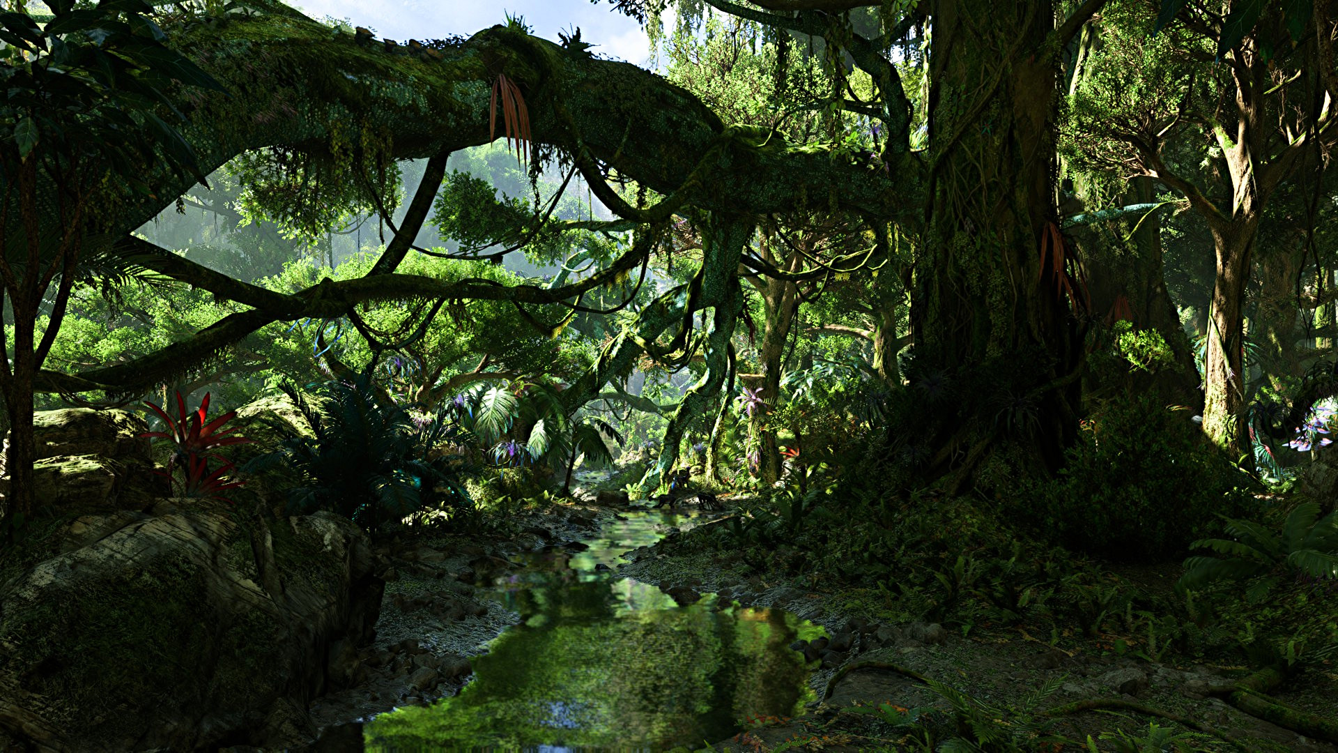 Pandora Emerge Jungle 2.jpg