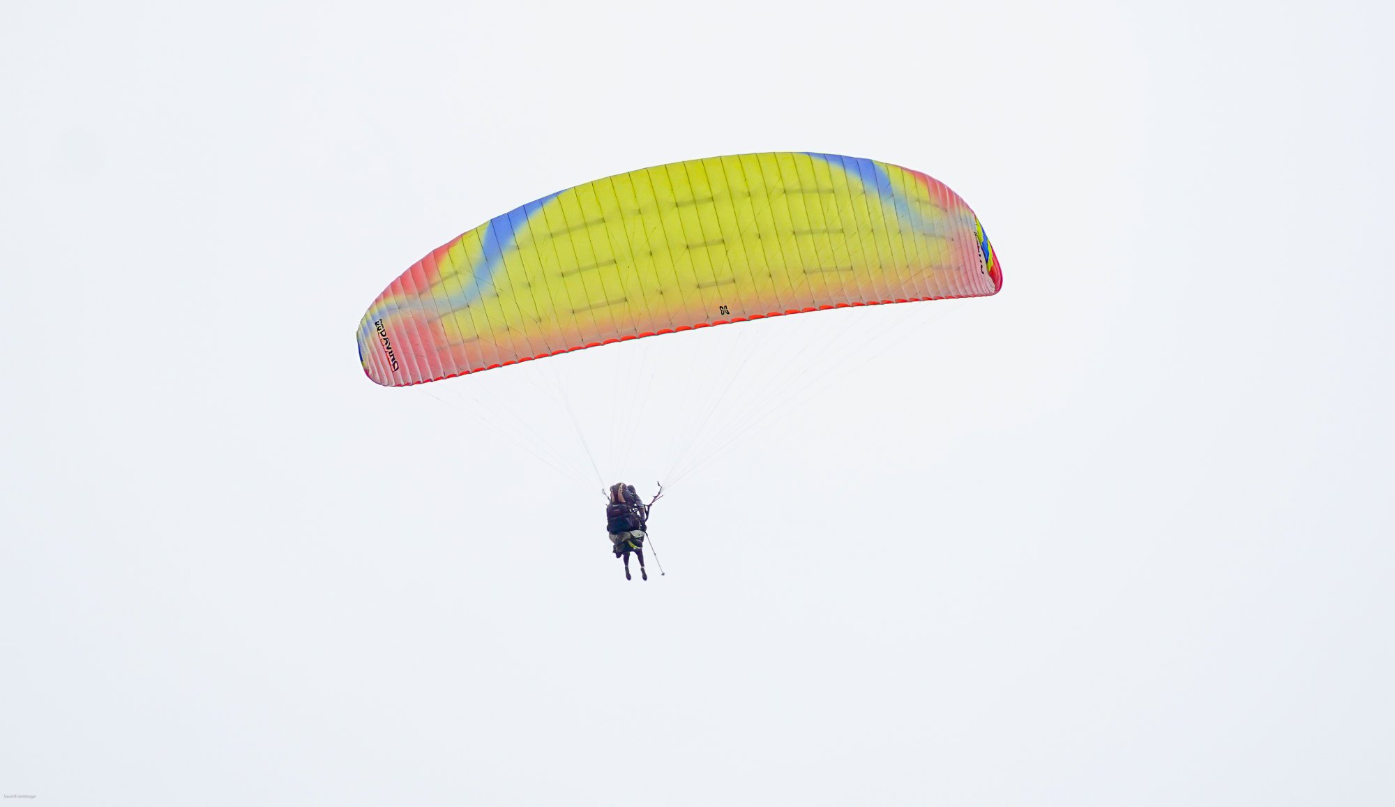 Paraglider.jpg