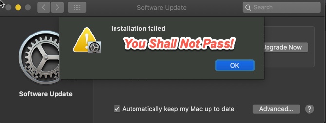Pass.jpg