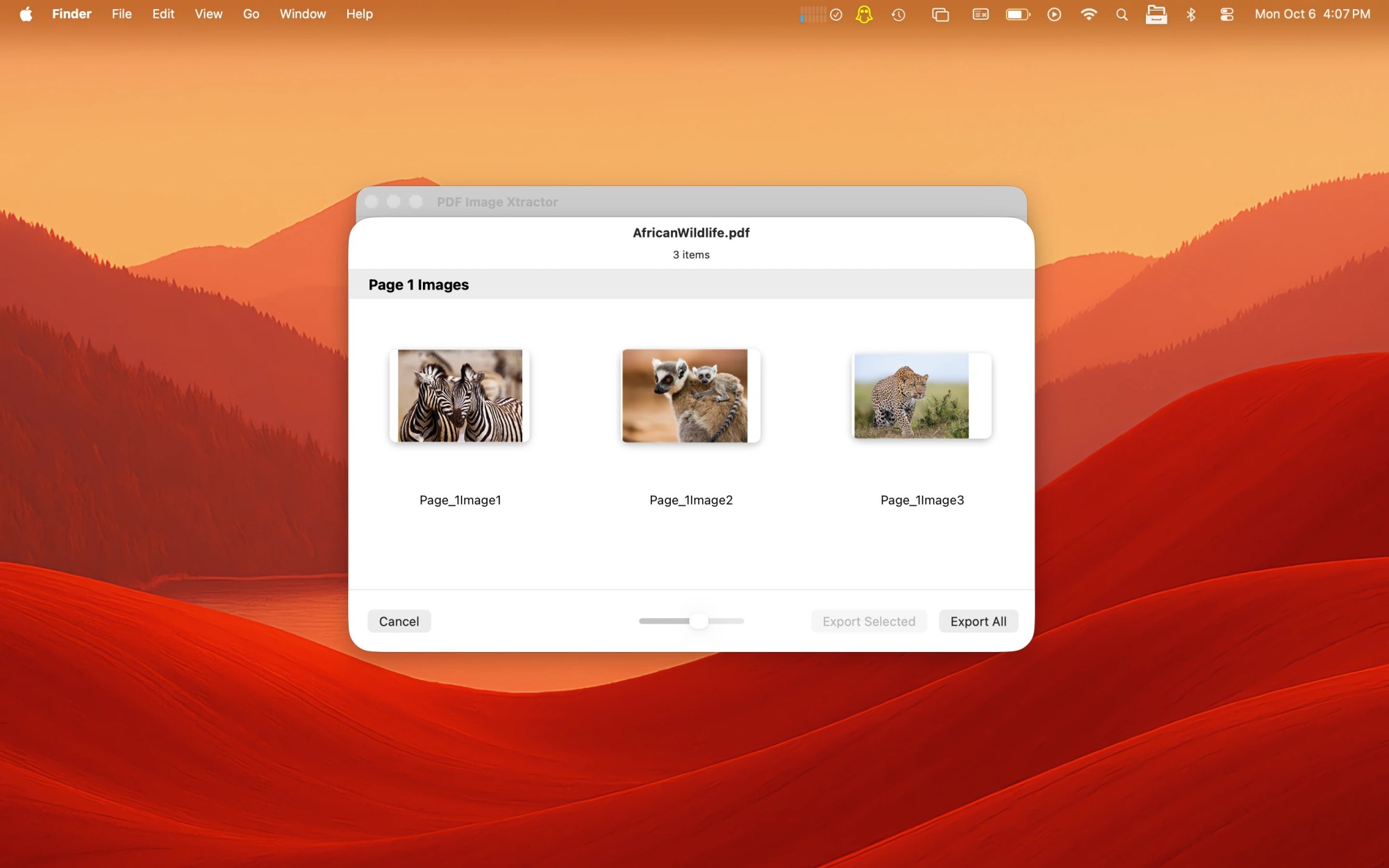 PDF Image Xtractor Mac app export window.