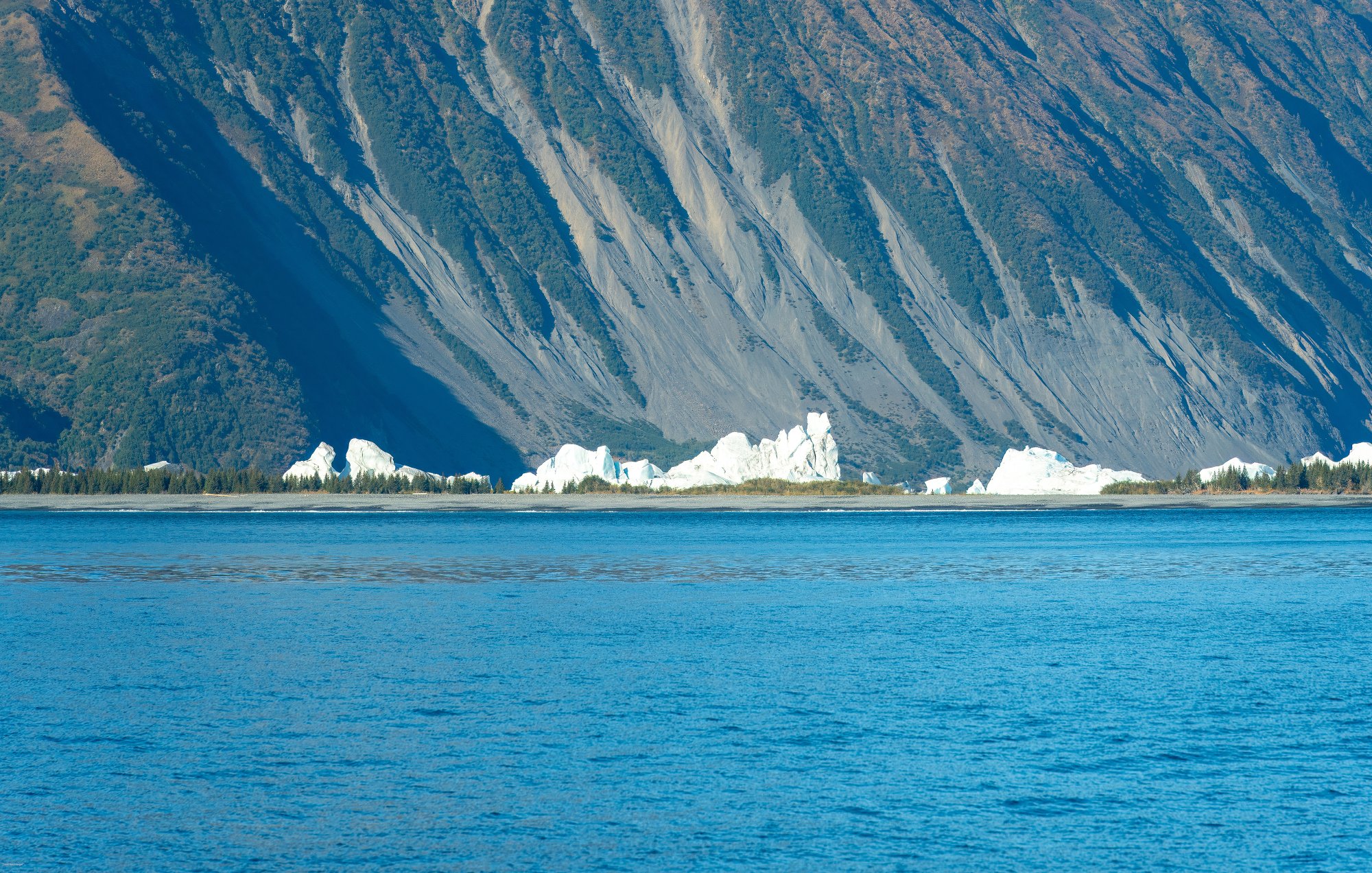 Pederson Glacier.jpg