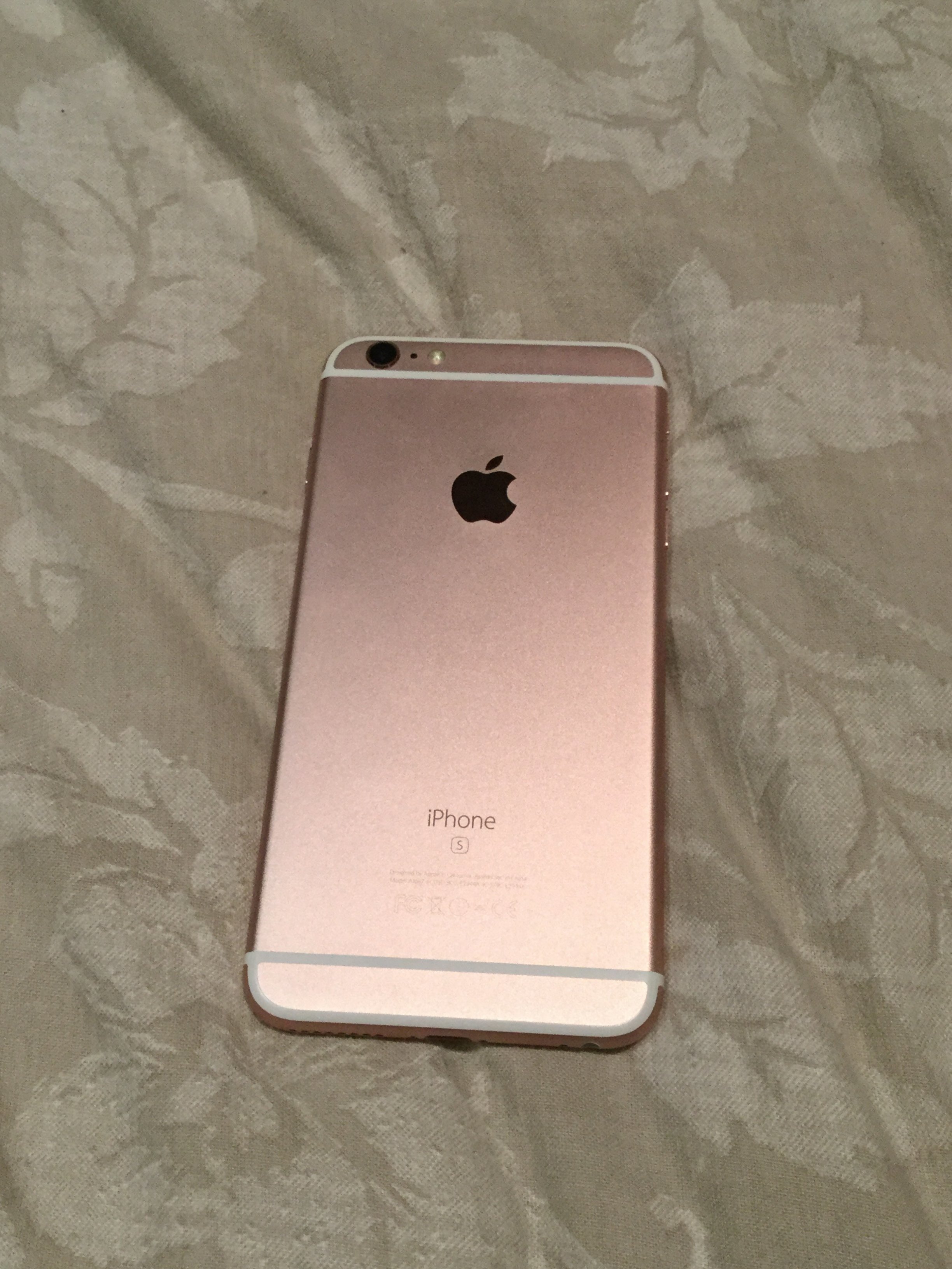 Photo 8-10-2015, 23 27 57.jpg