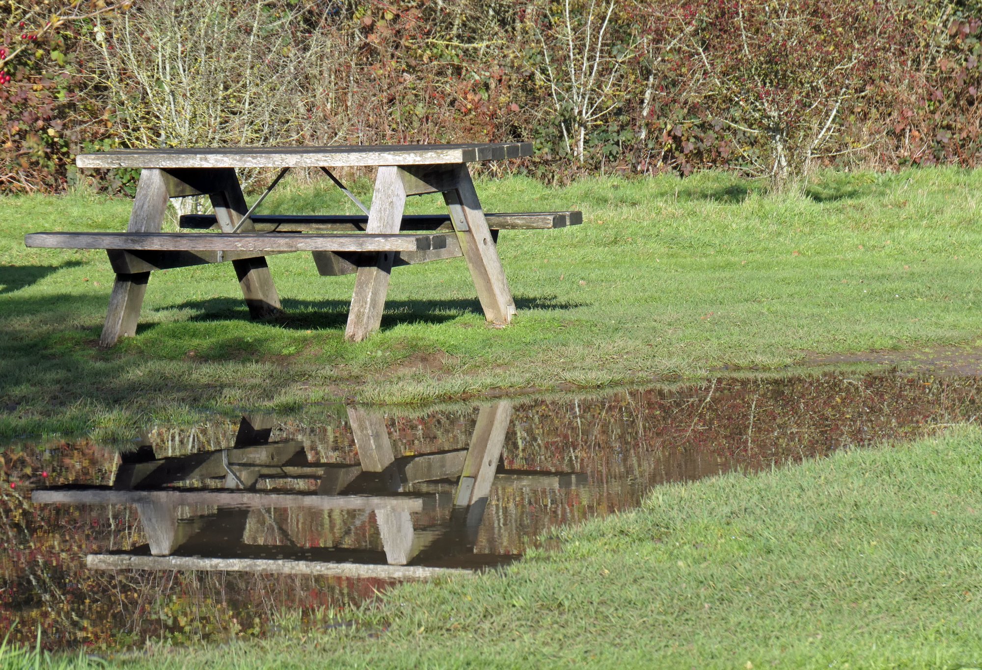 Picnic Table Reflection.JPG