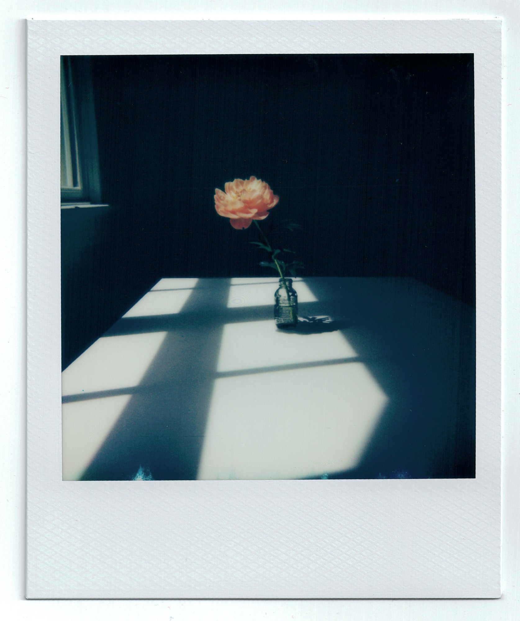 PolaroidSupercolor635CL_2025_Image_11-positive.jpg