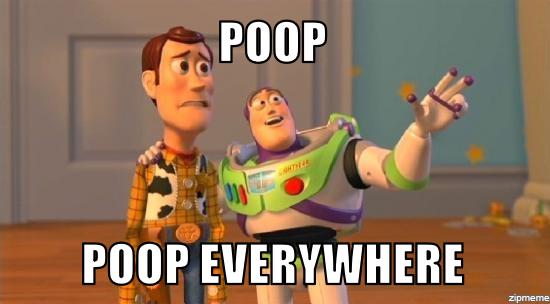 Poop.png