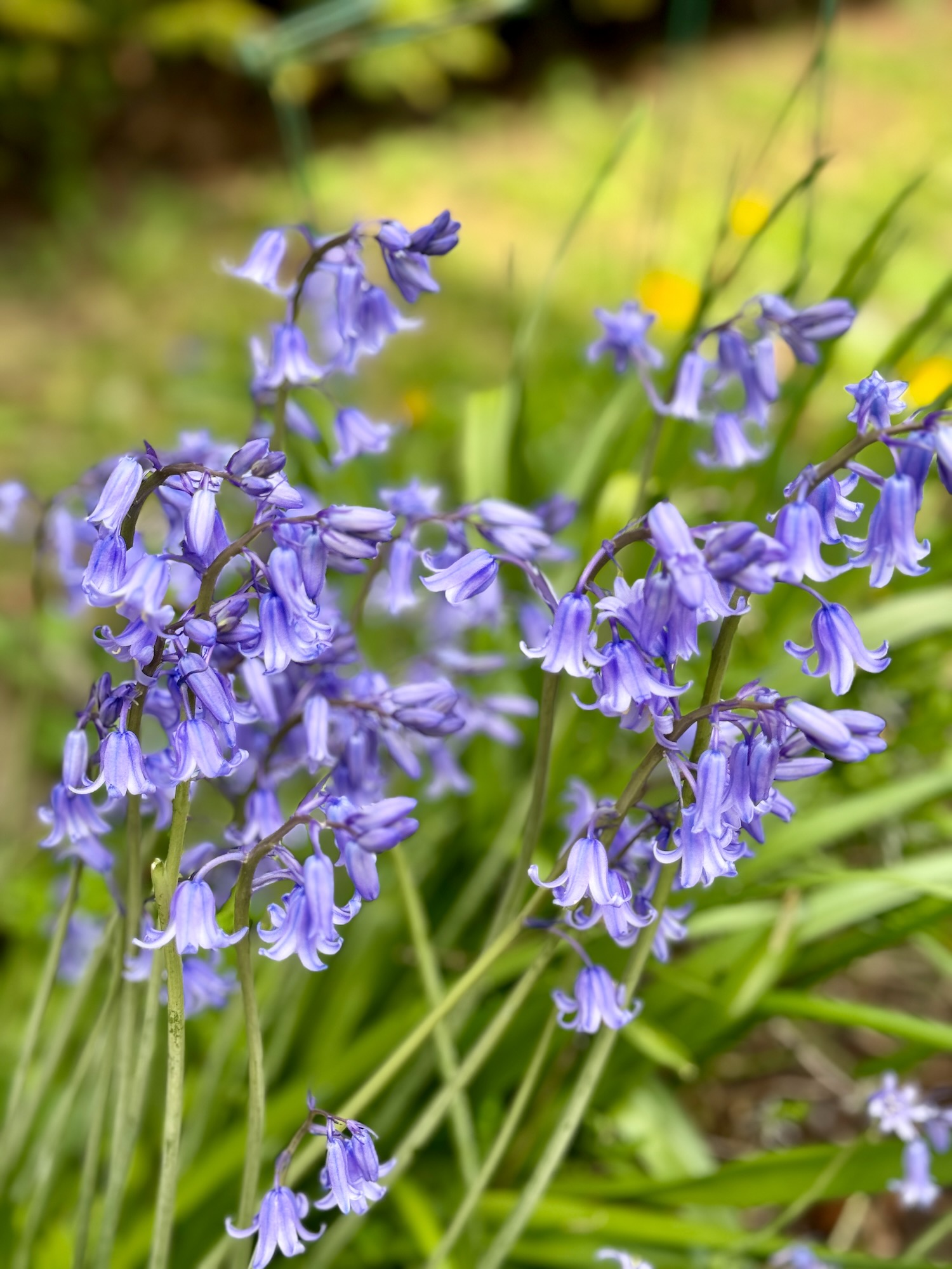 POTD April - 1_a 2.jpeg