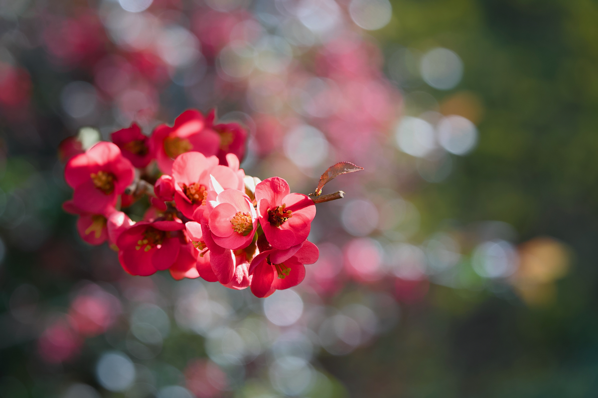 POTD April - 1_a.jpeg