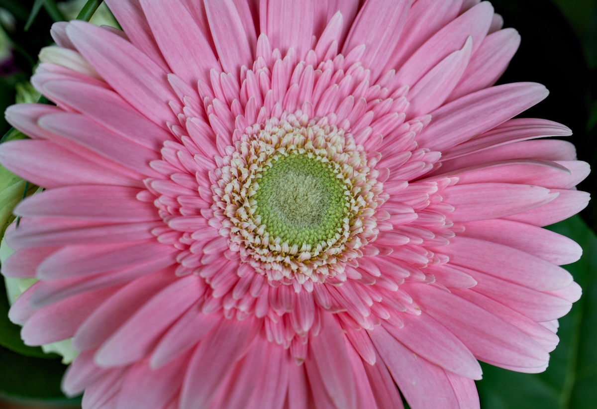 POTD August - 1 (12).jpeg