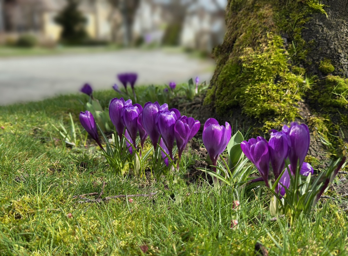 POTD March - 1_a 2.jpeg