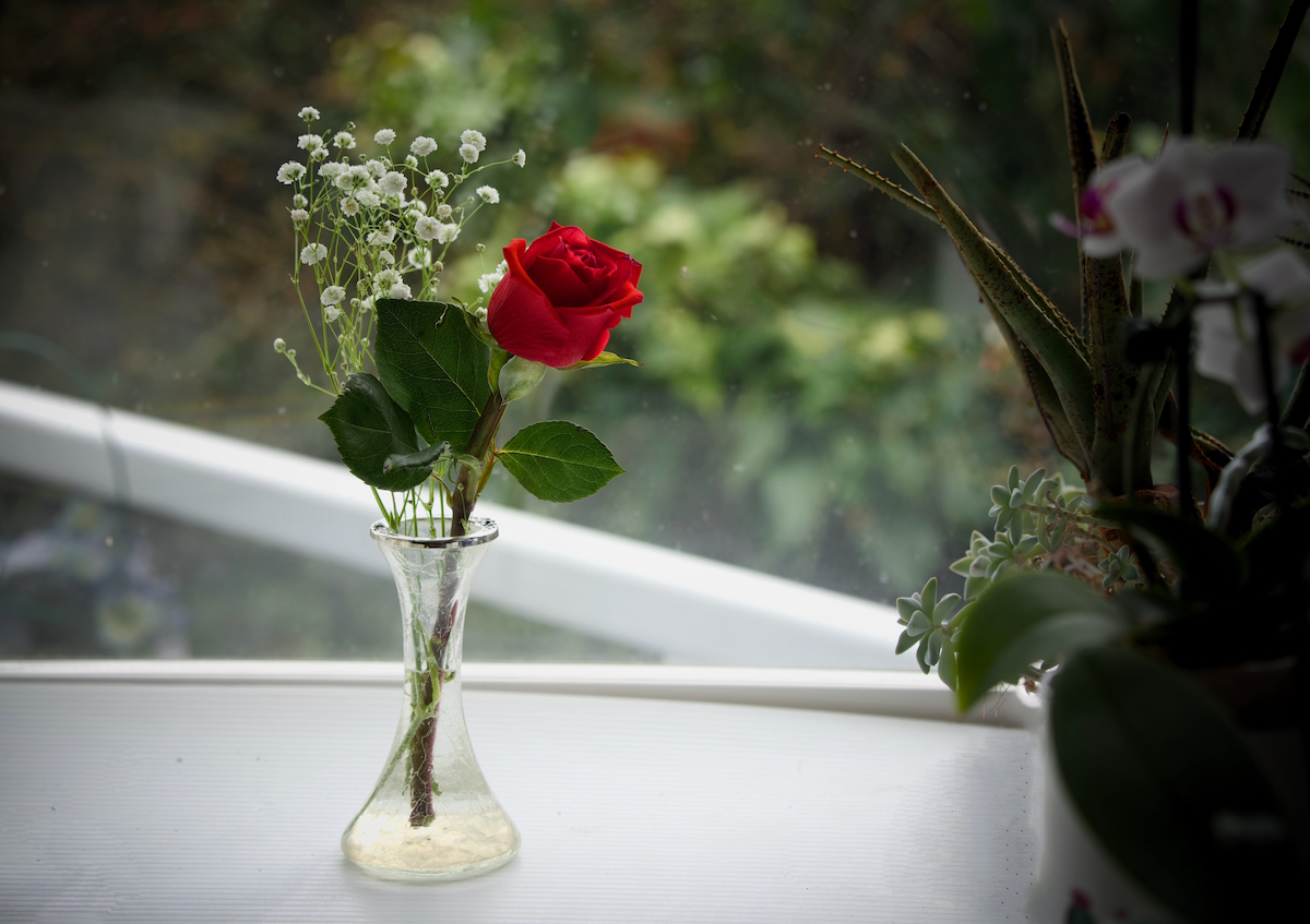 POTD March - 1_a 6.jpeg