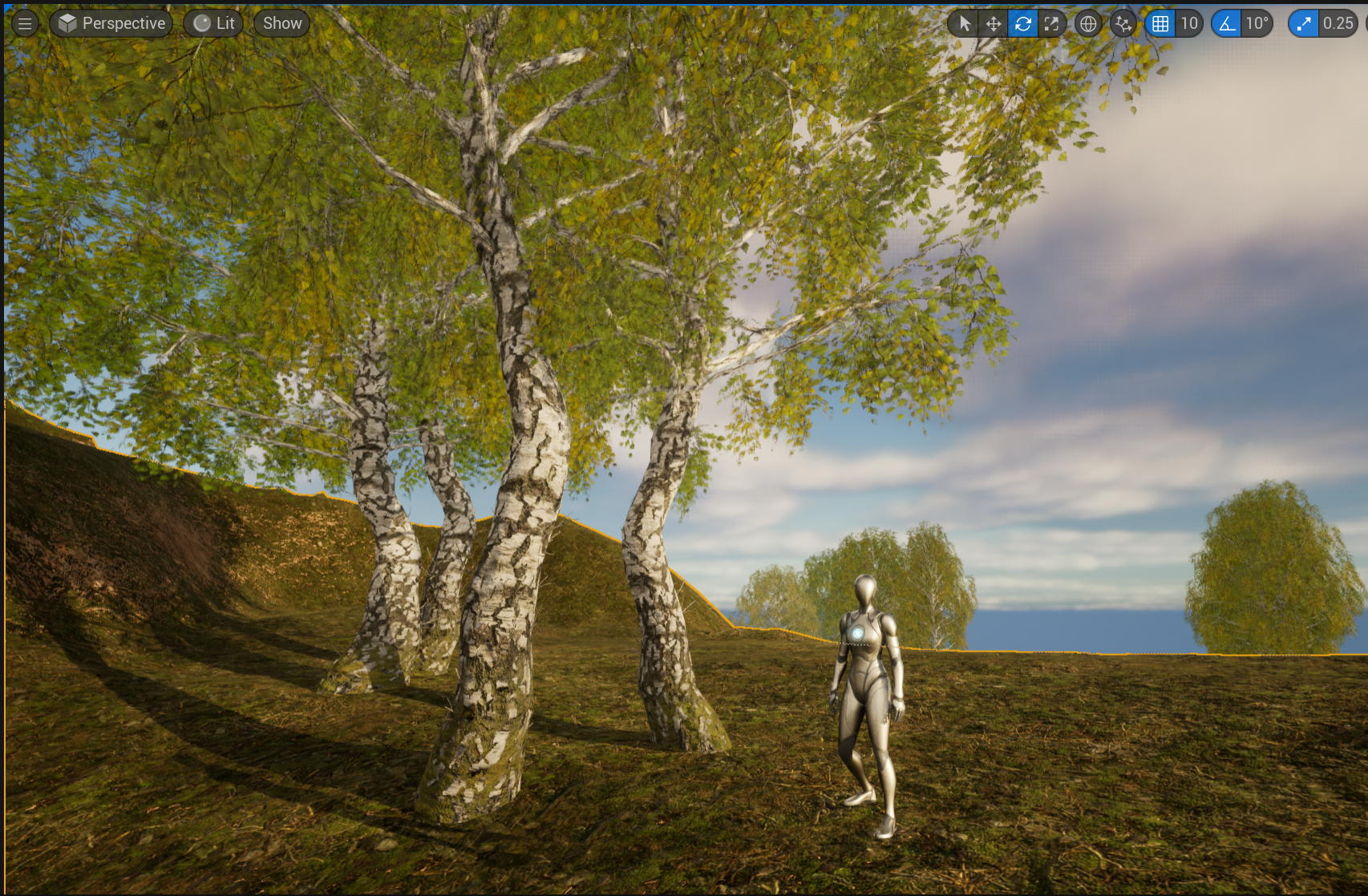 Practise Aspen Trees.jpg