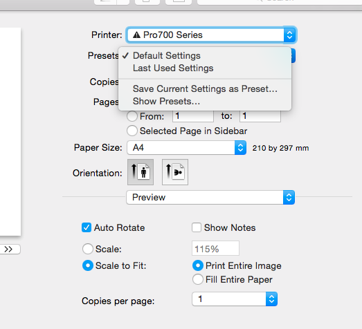 Preview Print Settings 1.png