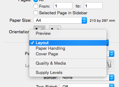 Preview Print Settings 2.png