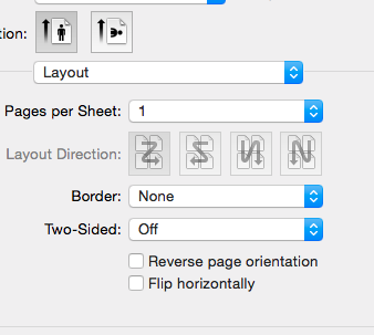 Preview Print Settings 3.png