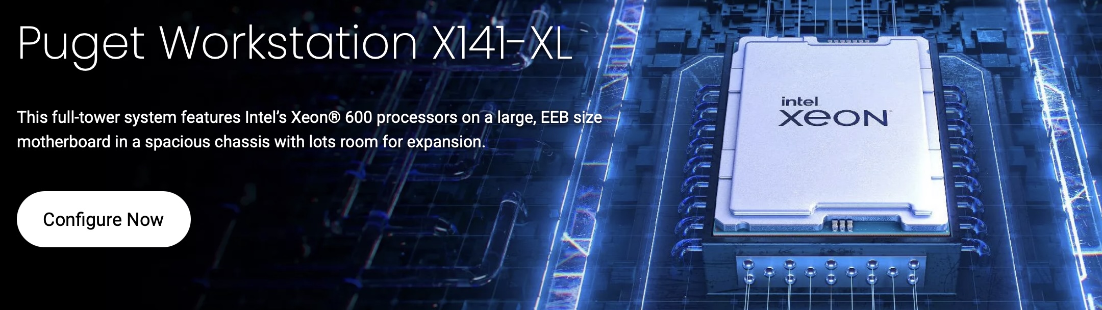 Puget Workstation X141-XL.jpg