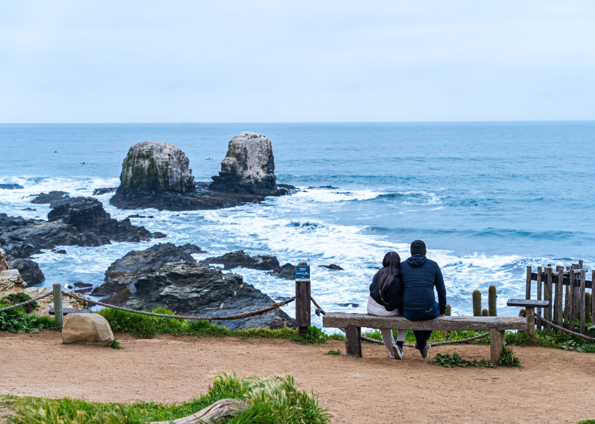 Punta de Lobos.jpg