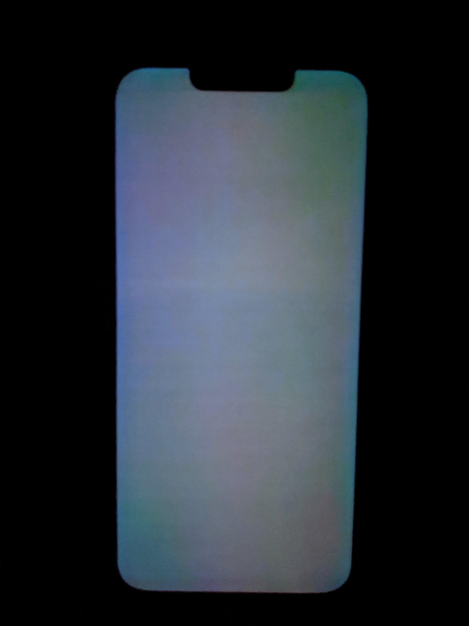 PXL_20220130_133637498.NIGHT.jpg