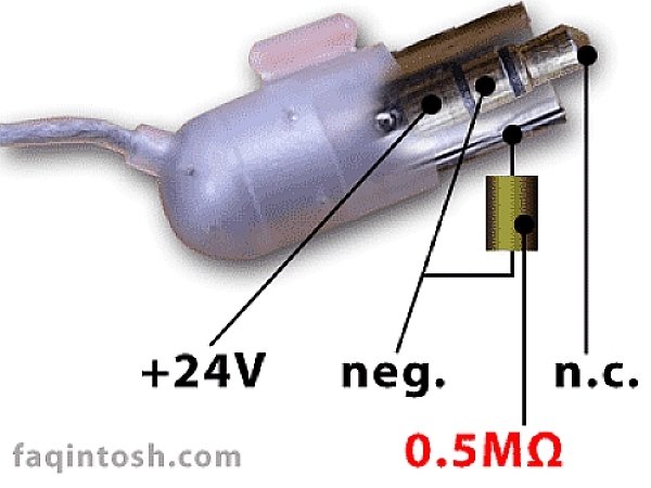 QJkYqN2TKpW4g6qj.full.jpg