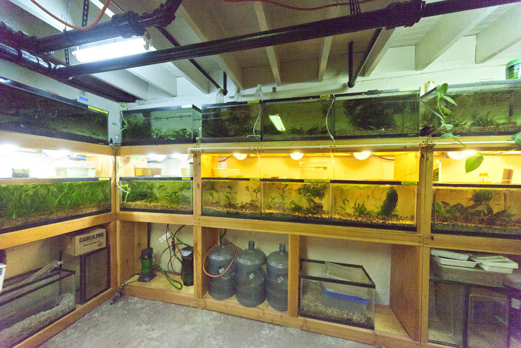 rack31024.jpg