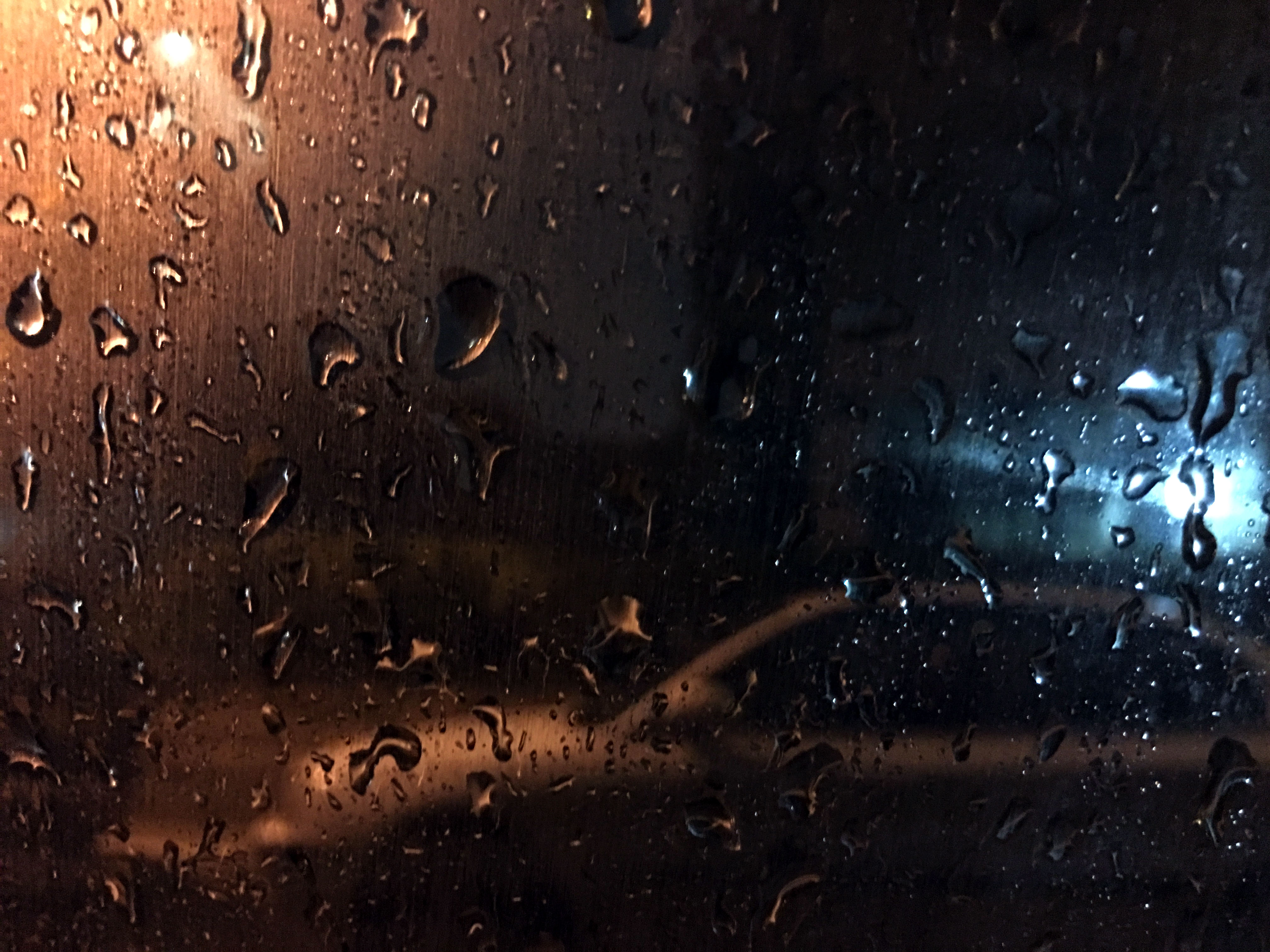 rain 1.jpg