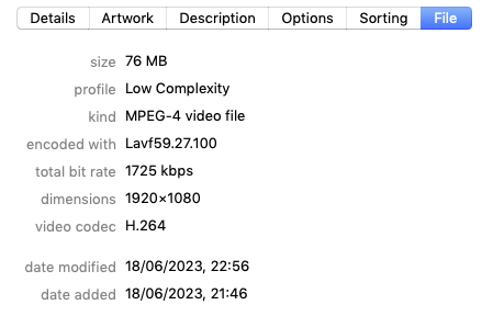 real video mp4.png