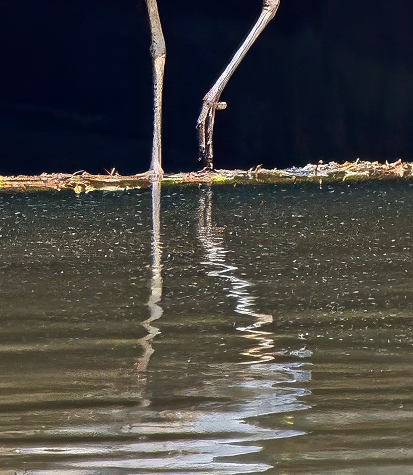 Reflections in Abstract.jpeg