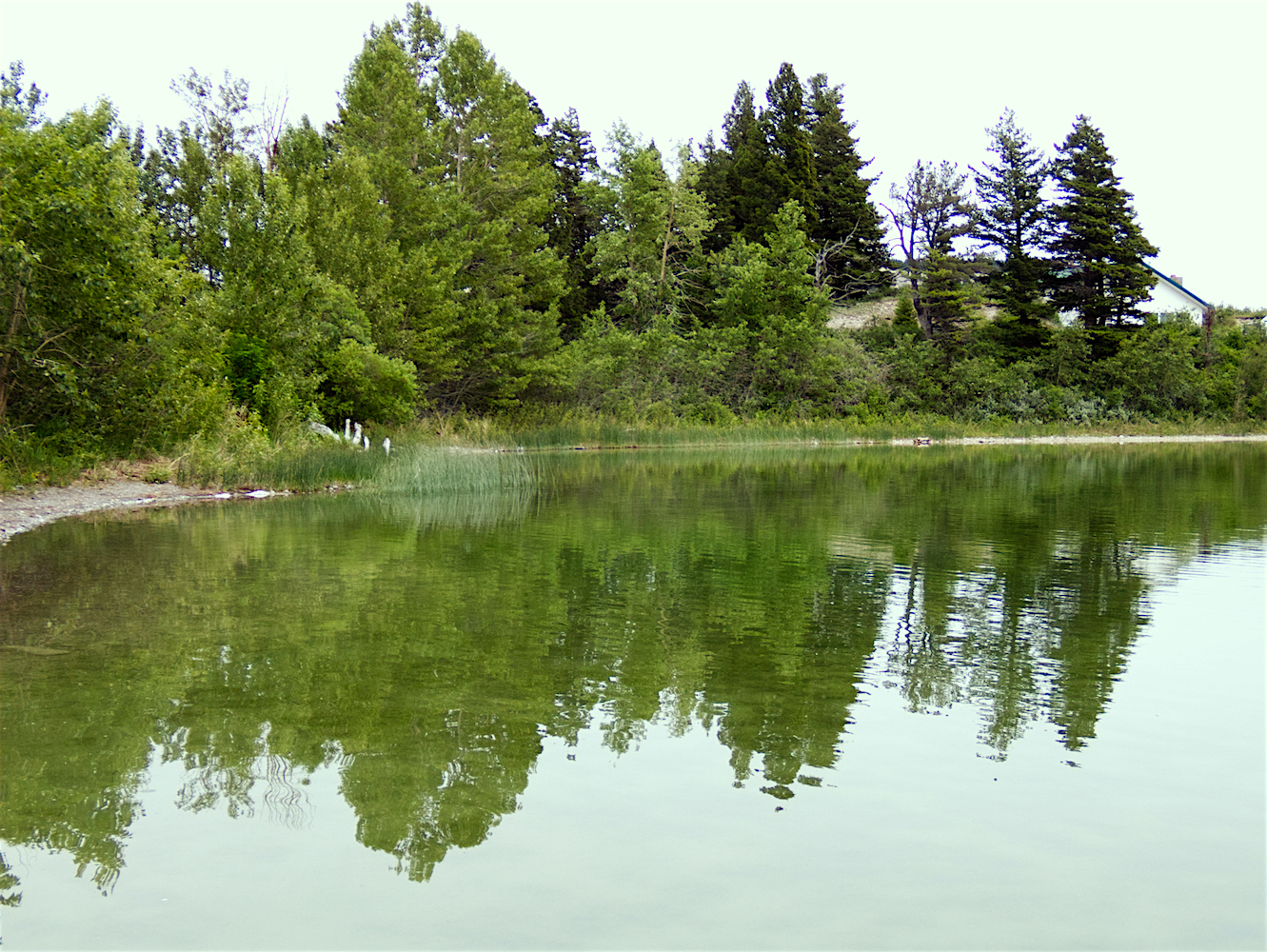 Reflections_1.jpg