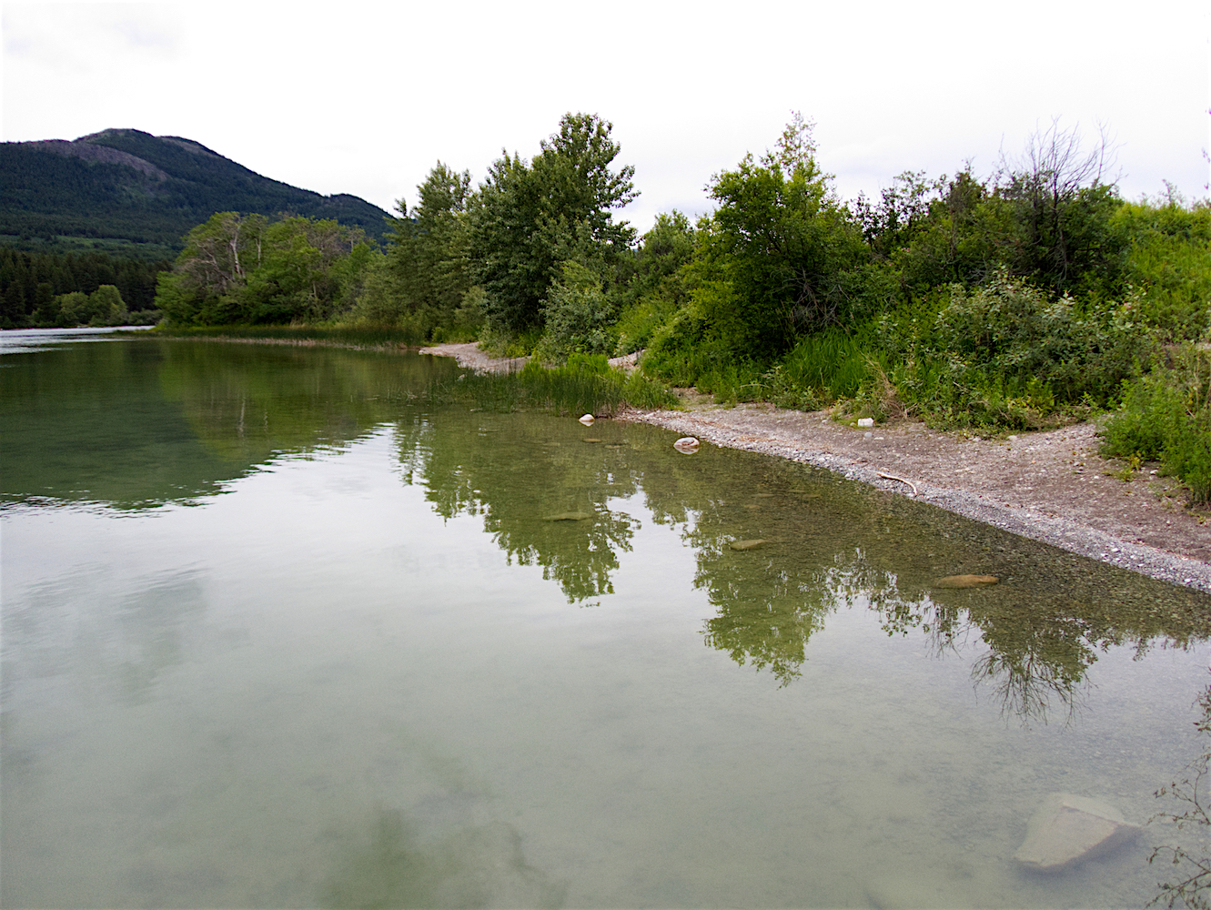 Reflections_4.jpg