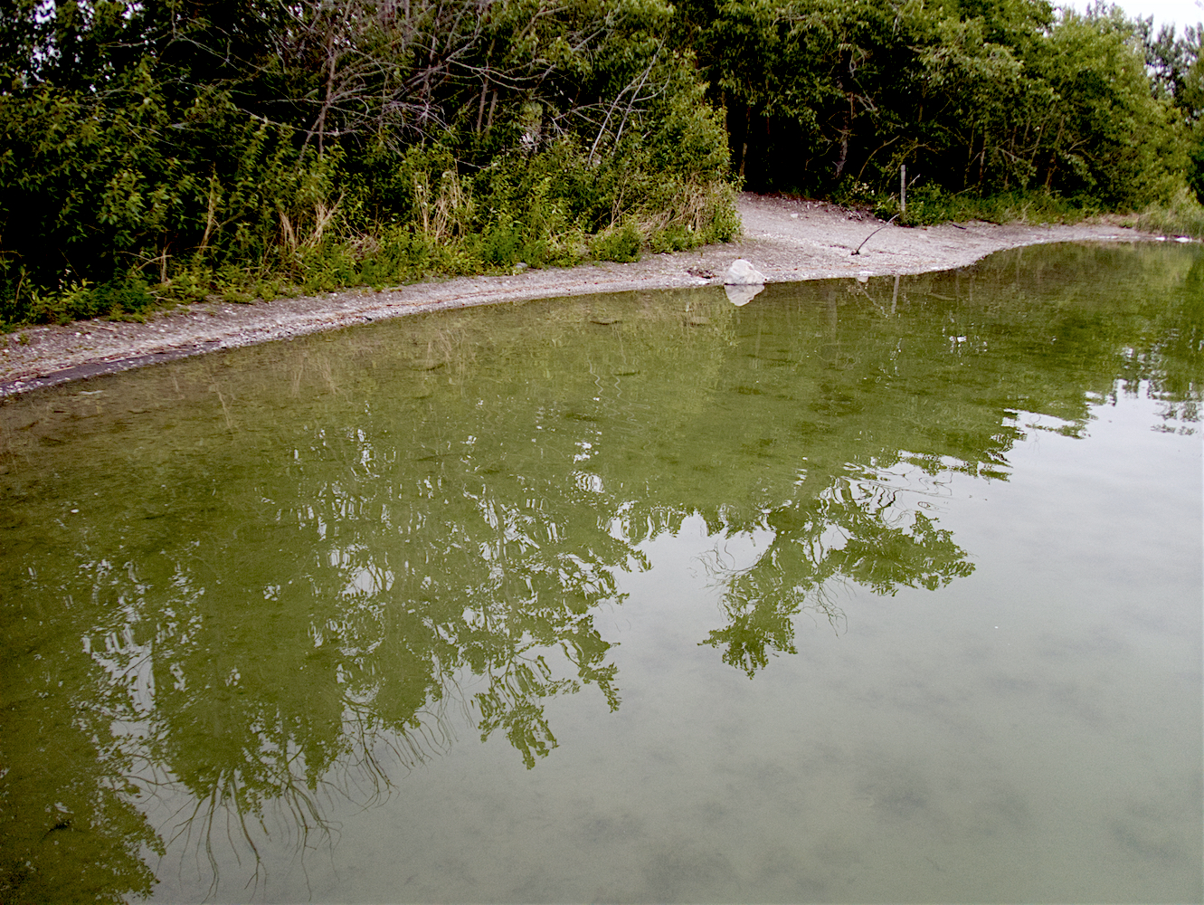 Reflections_5.jpg