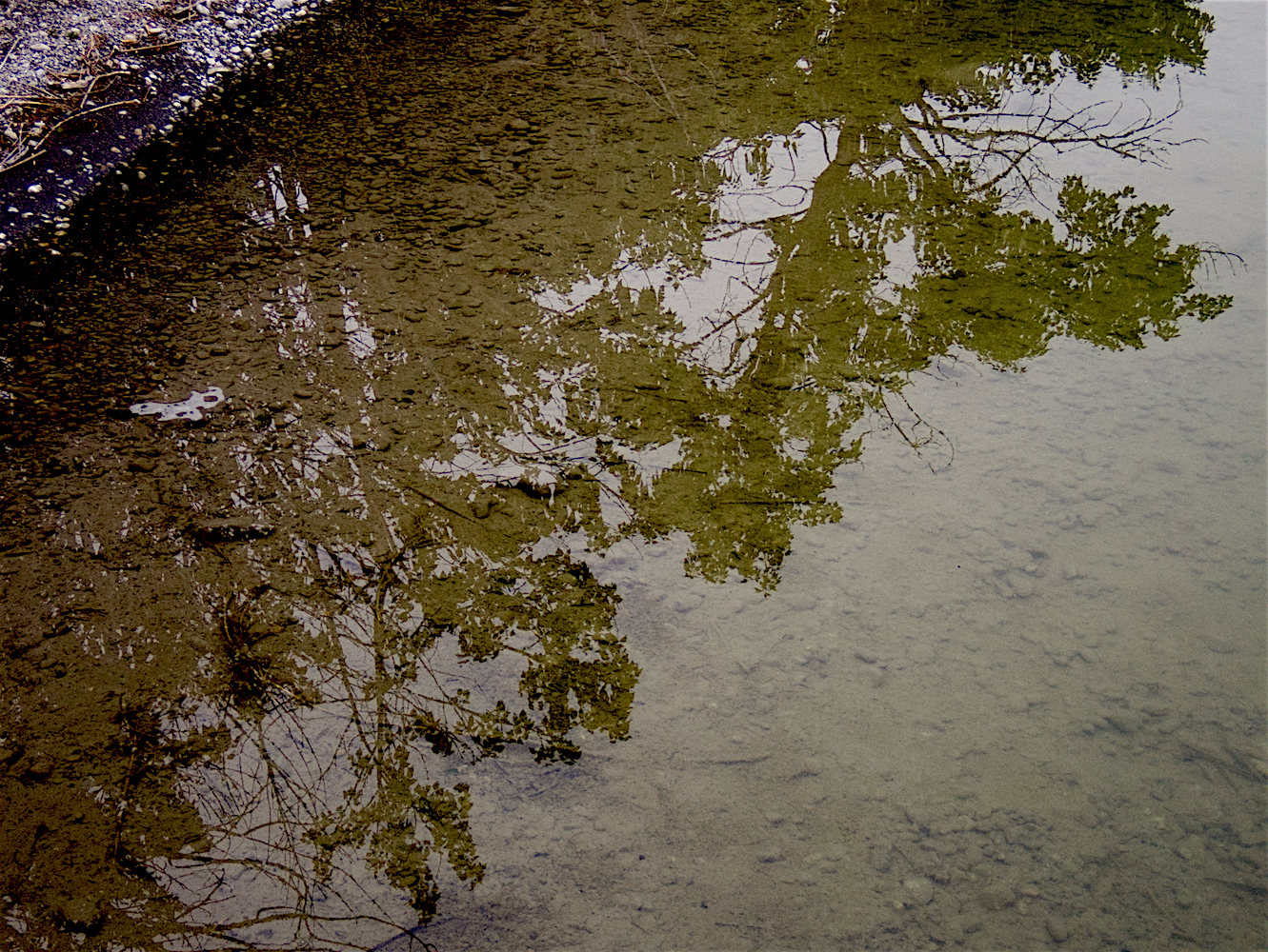 Reflections_6.jpg