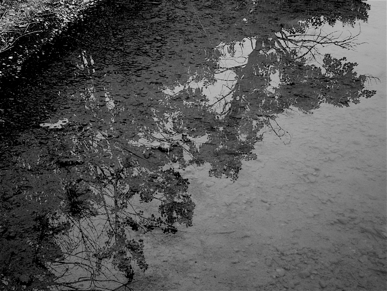 Reflections_6BW.jpg