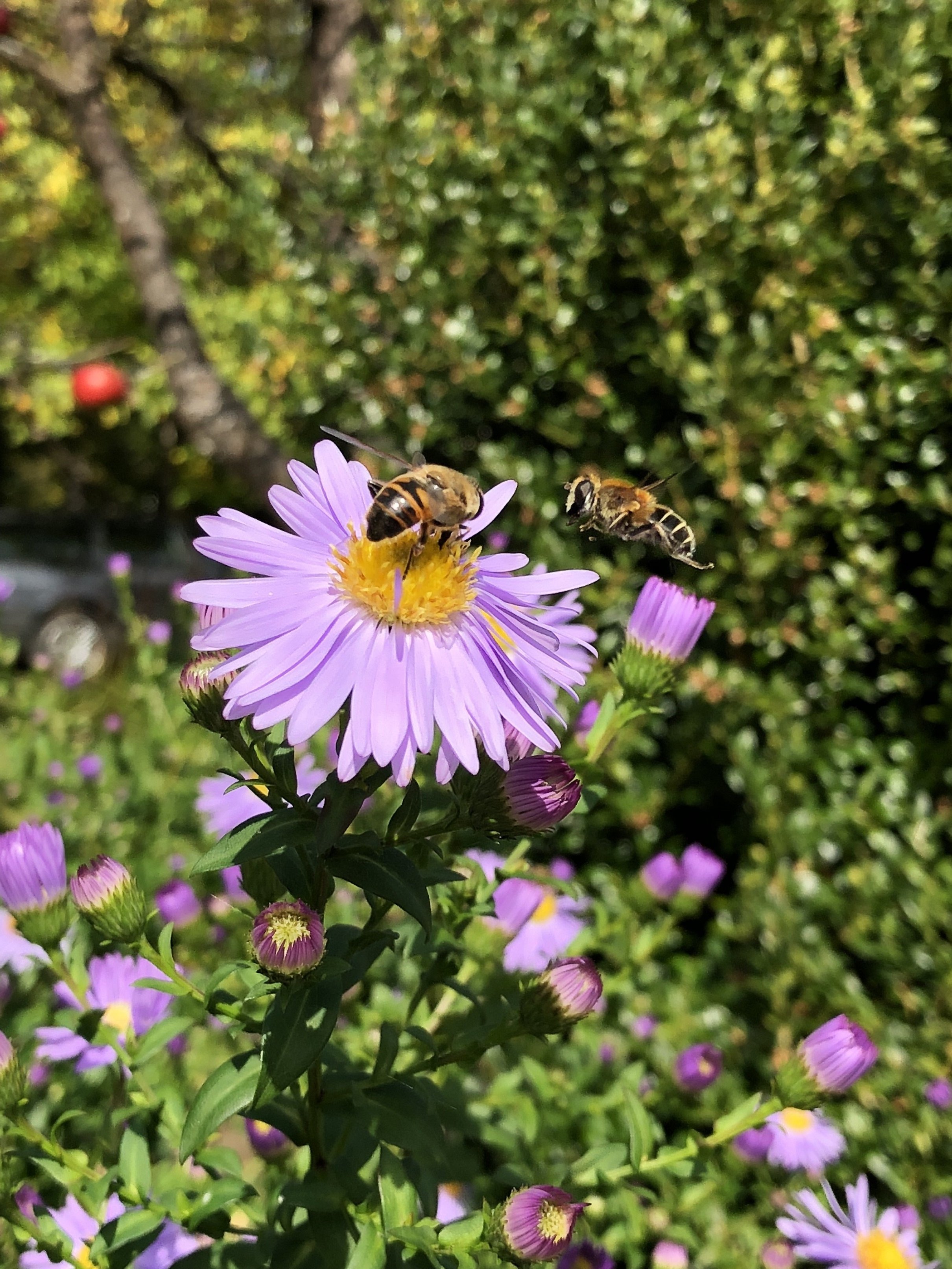 resized_IMG_0162.jpg
