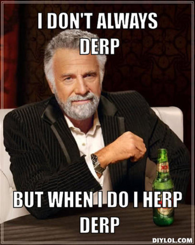 resized_the-when-i-do-i-herp-derp-979f71.jpg