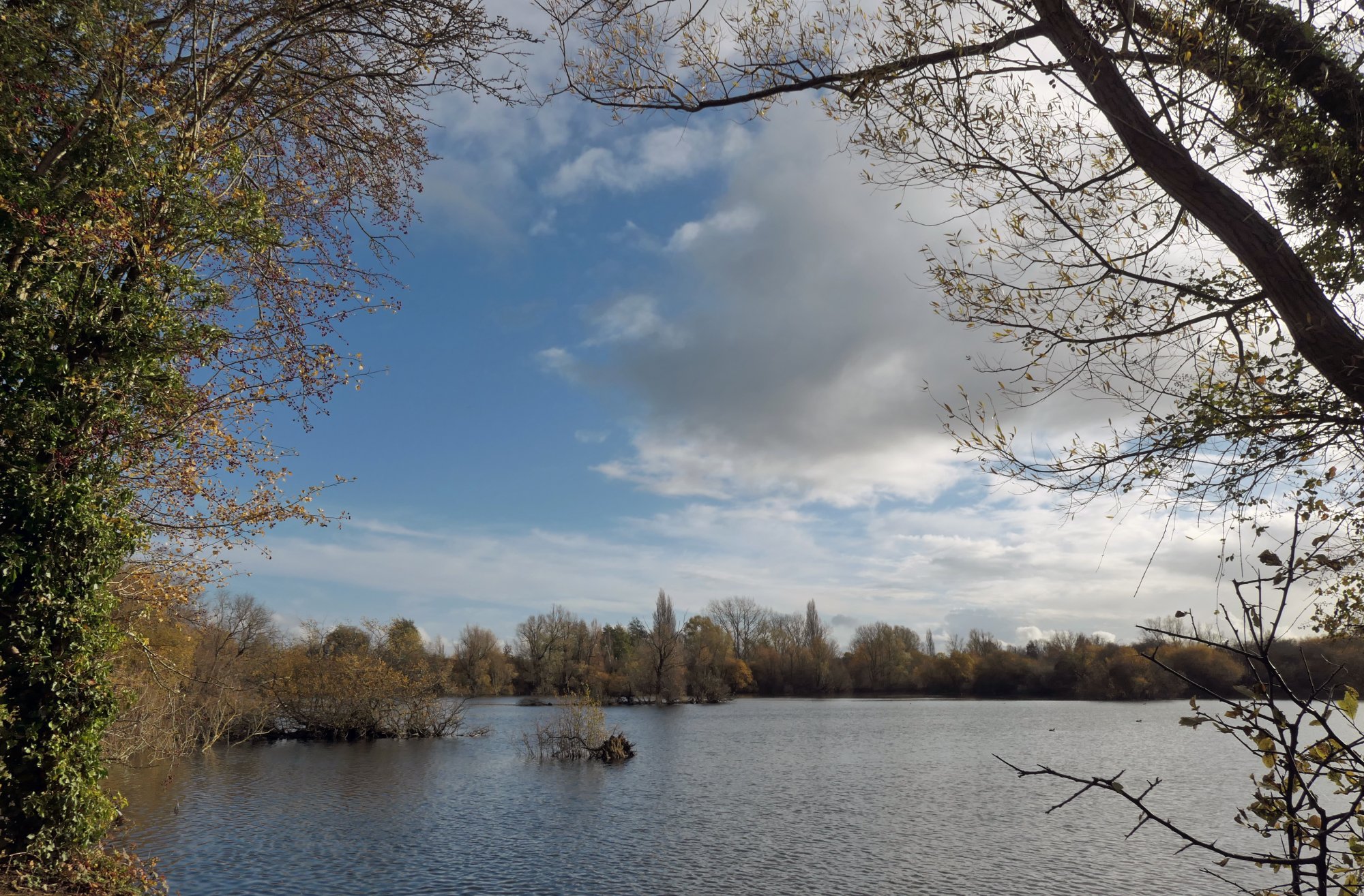 Road & Island Lake at Leybourne.JPG
