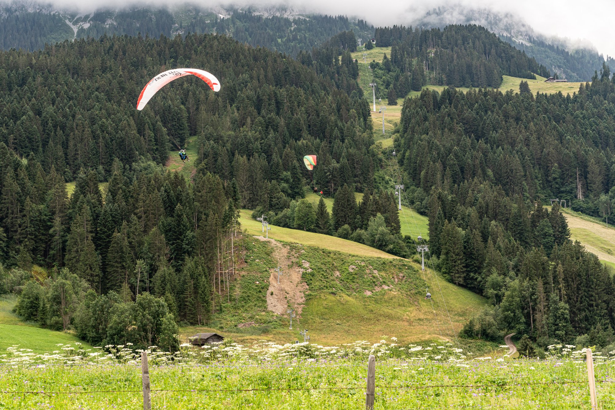 Roguemont- 2500px-31.jpg