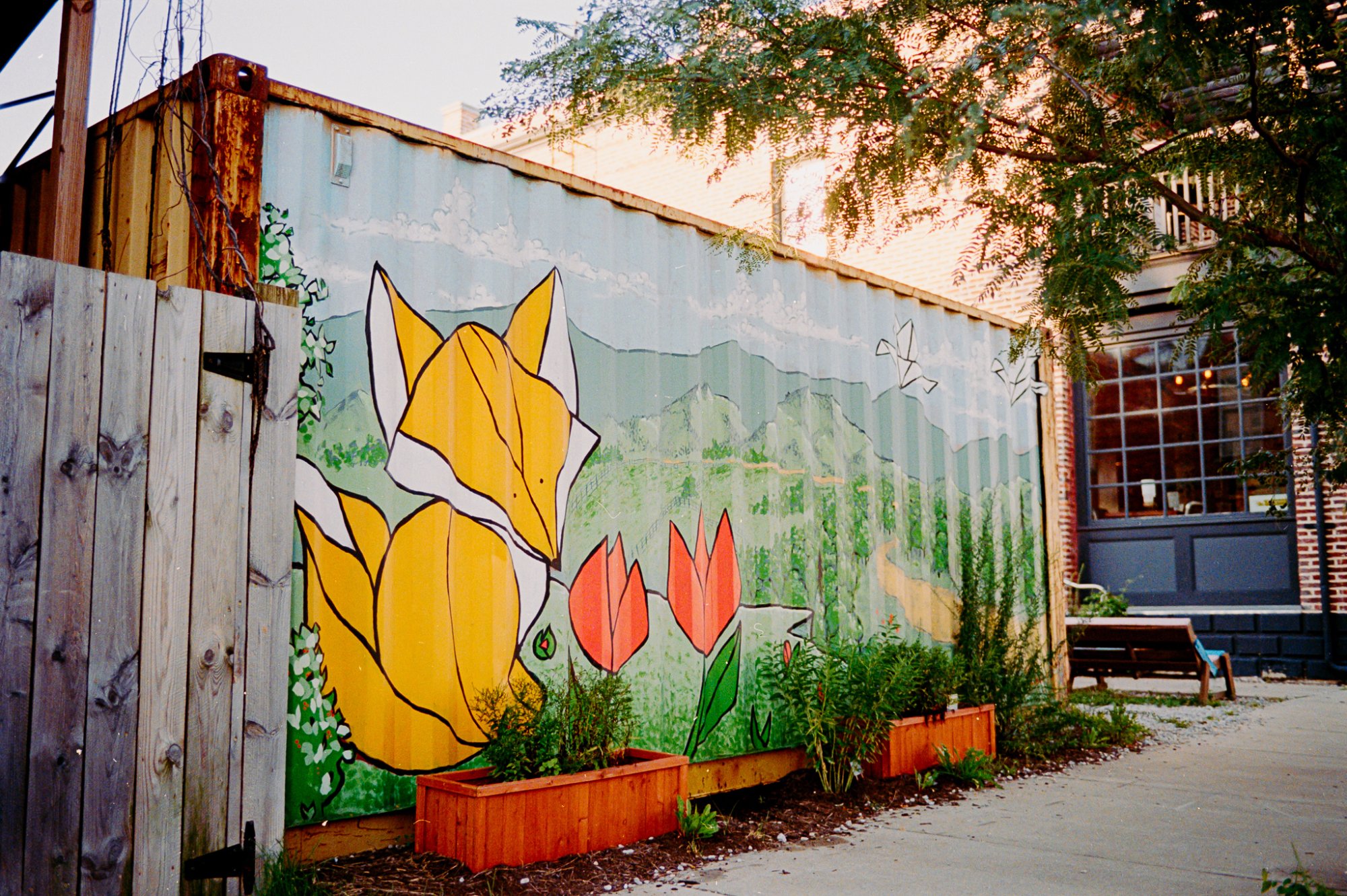 Roll _10_F100_2022_Image_31.jpg