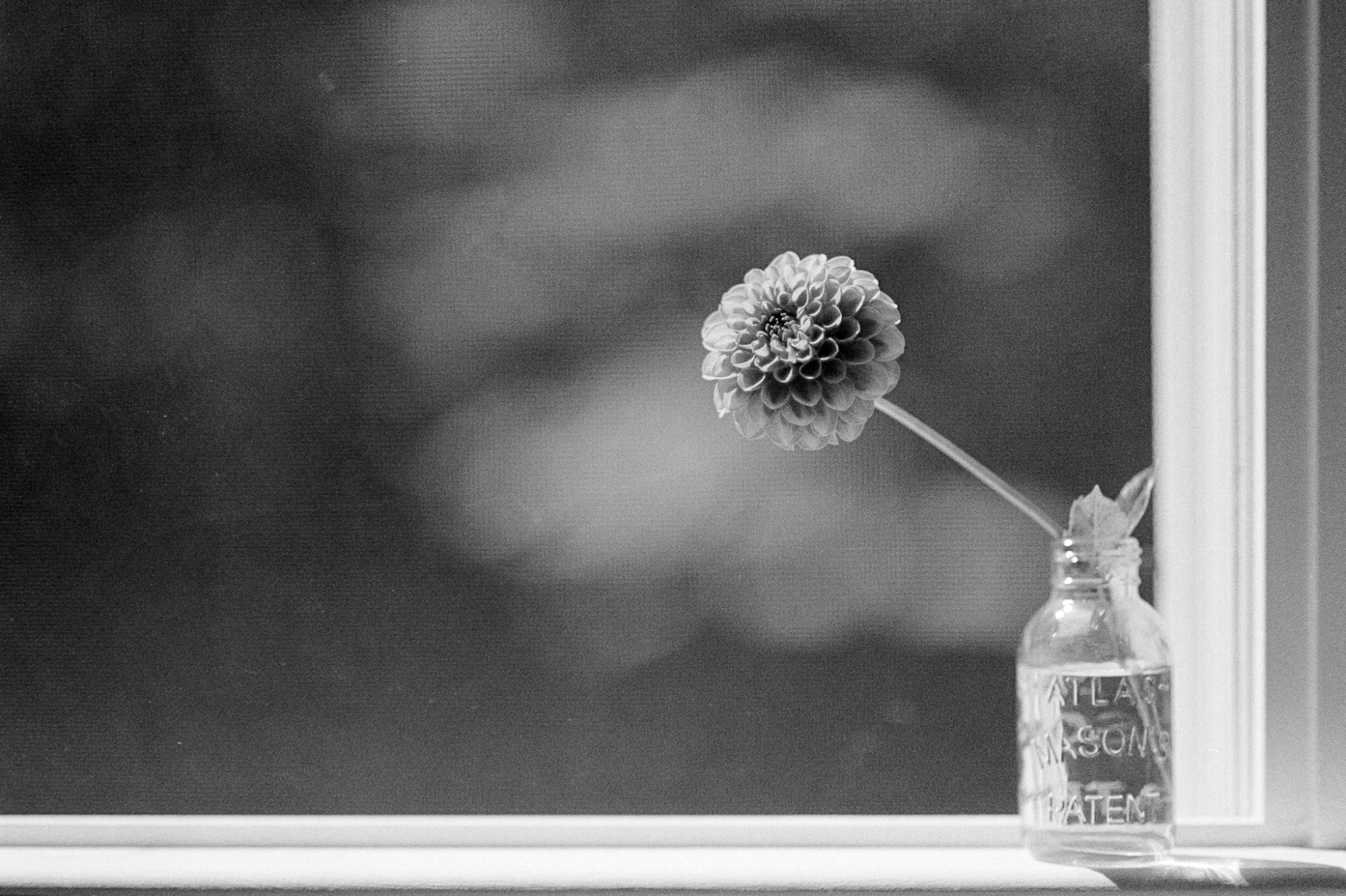 Roll _11_F100_2025_Image_37-positive.jpg