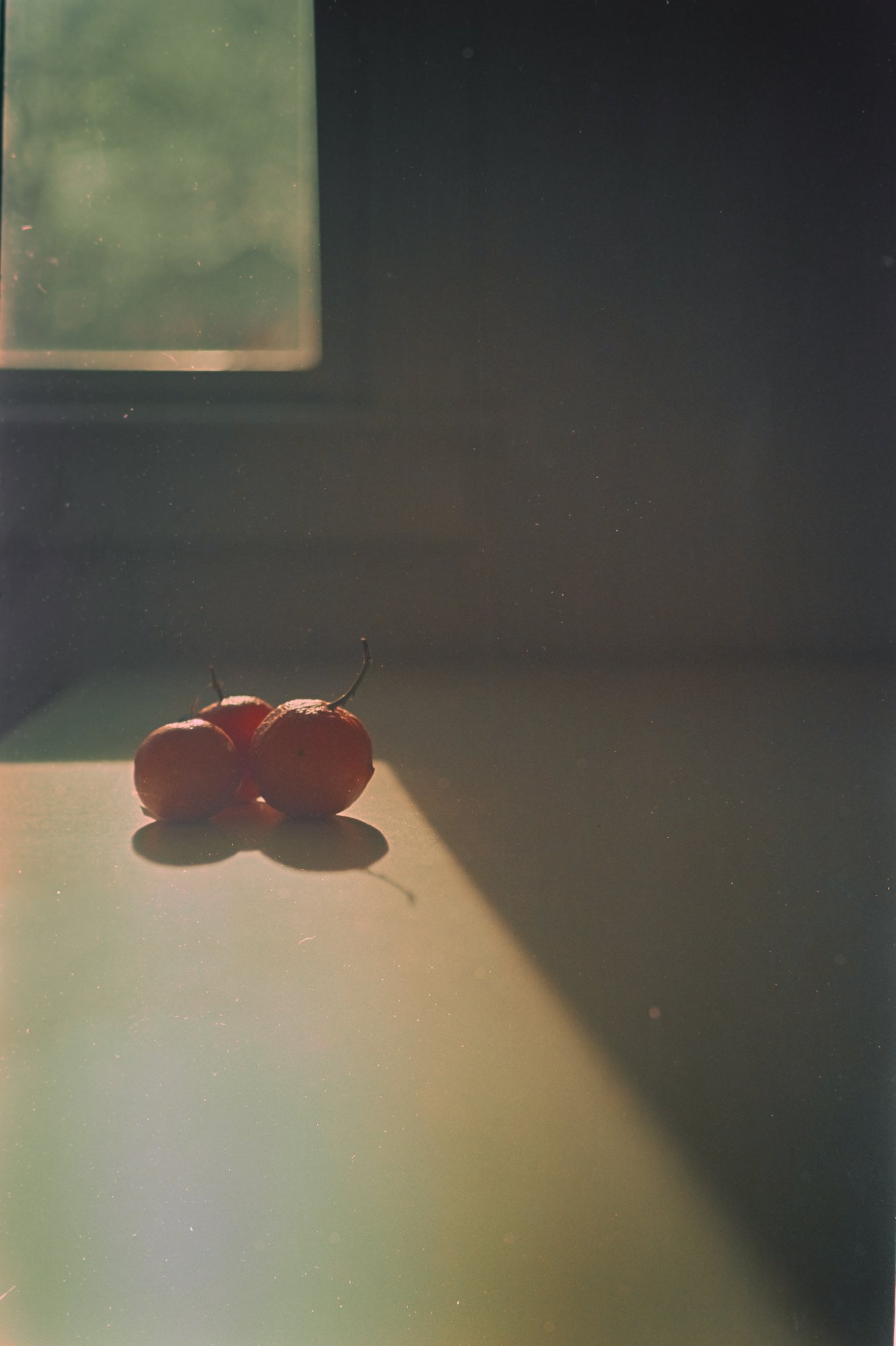 Roll _1_LeicaM3_2025_Image_18-positive.jpg