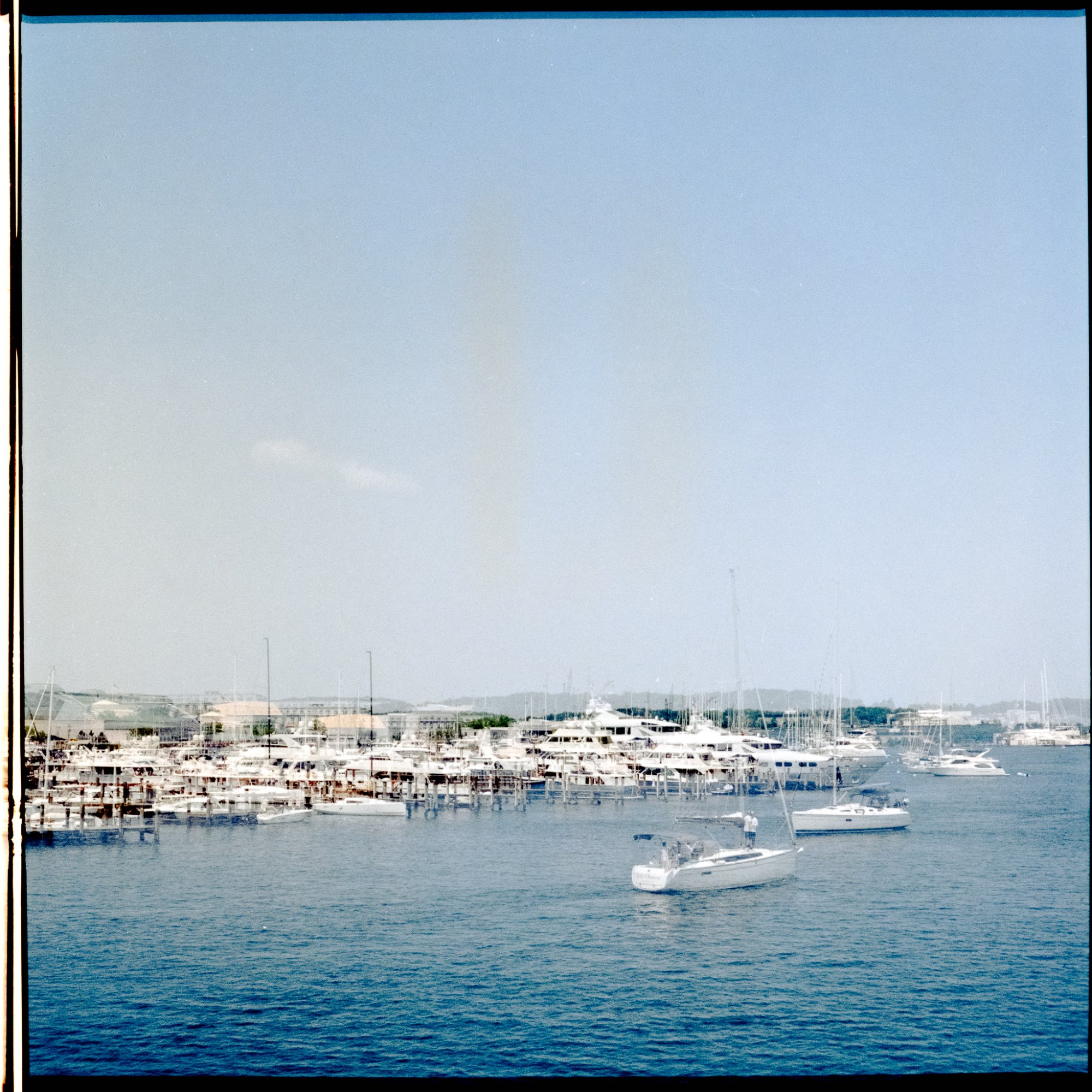 Roll _3_YashicaMat124_2023_Image_01.jpg