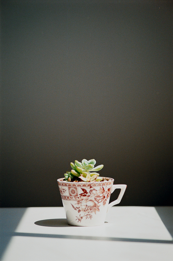 Roll _5_F100_2023_Image_29.jpg