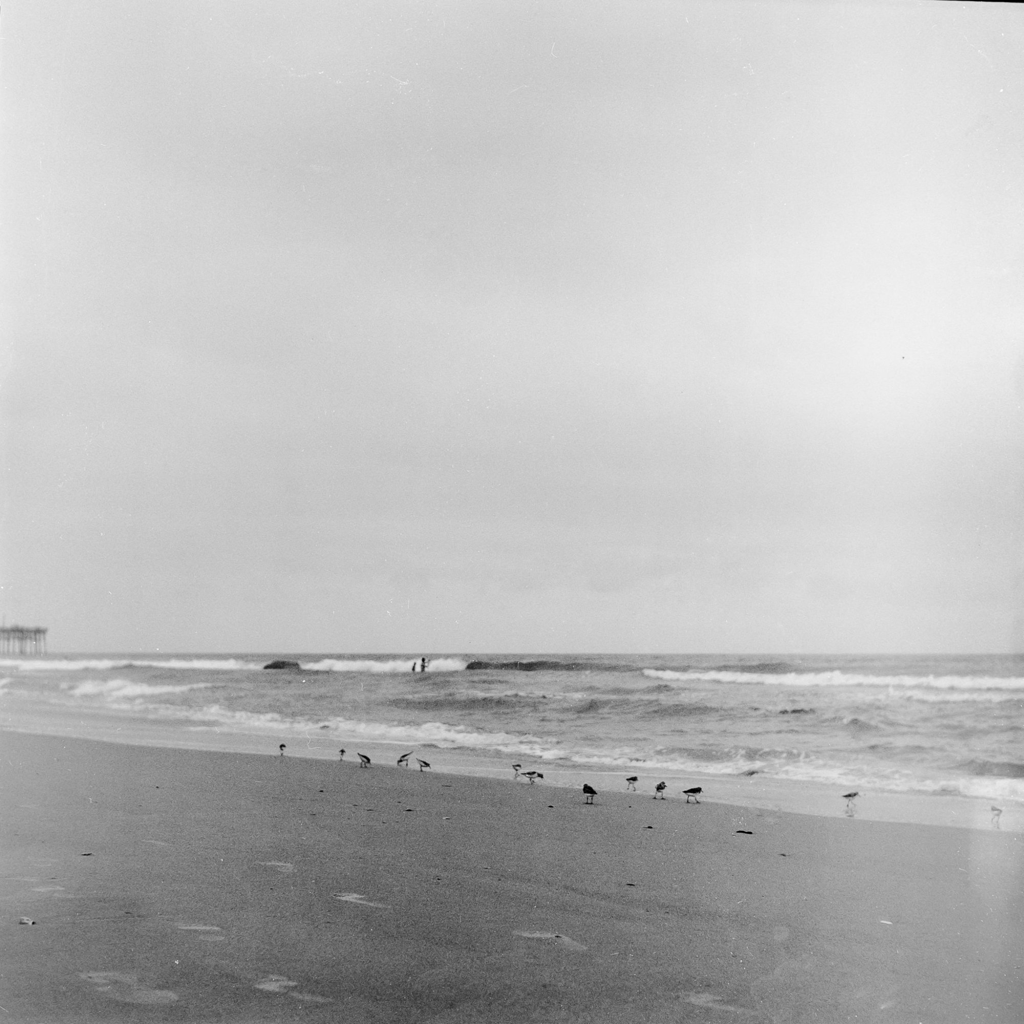 Roll _8_YashicaMat124_2025_Image_06-positive.jpg