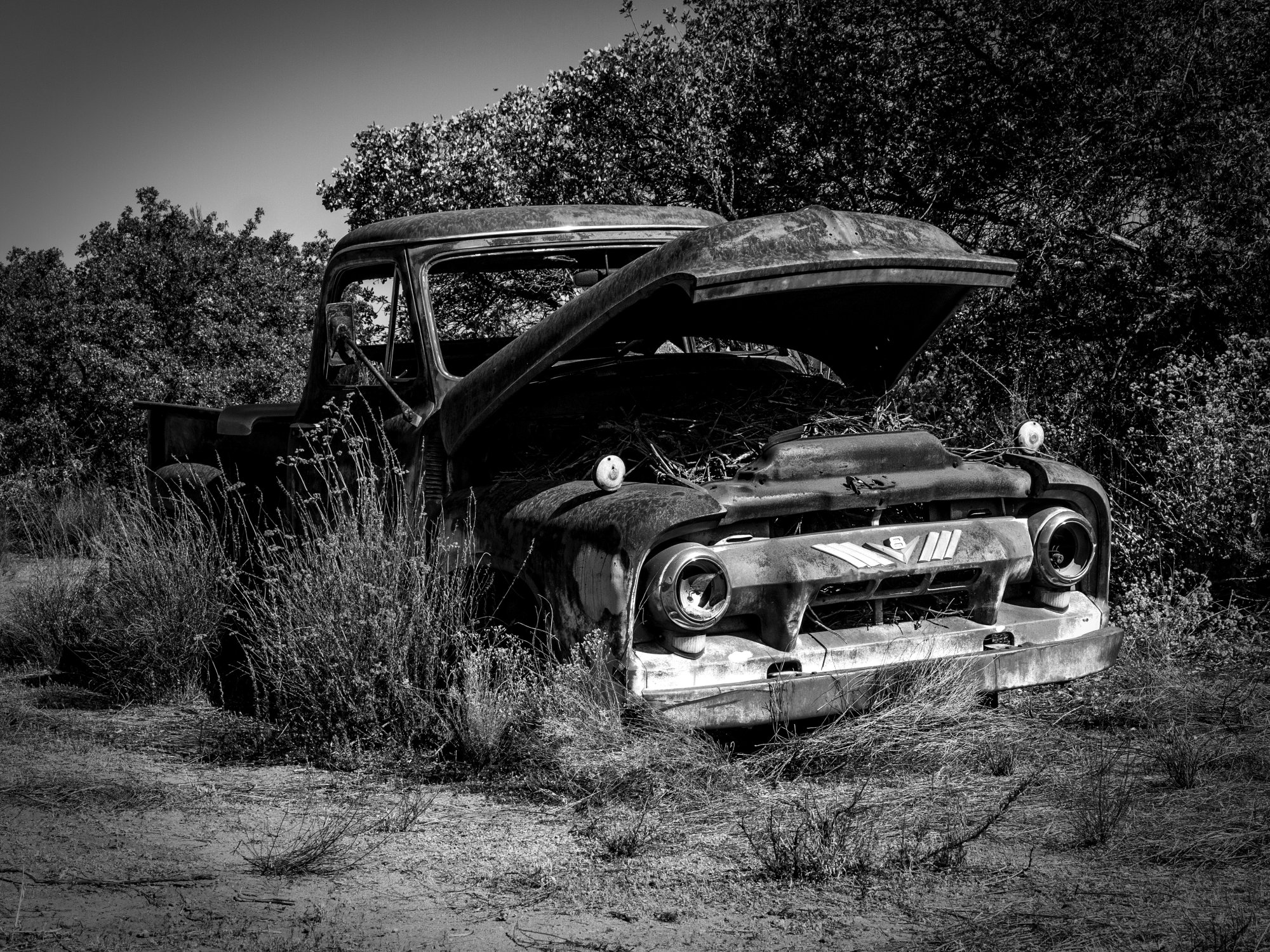 rusty truck 1086 rw 8.29.22 xvbw.jpg