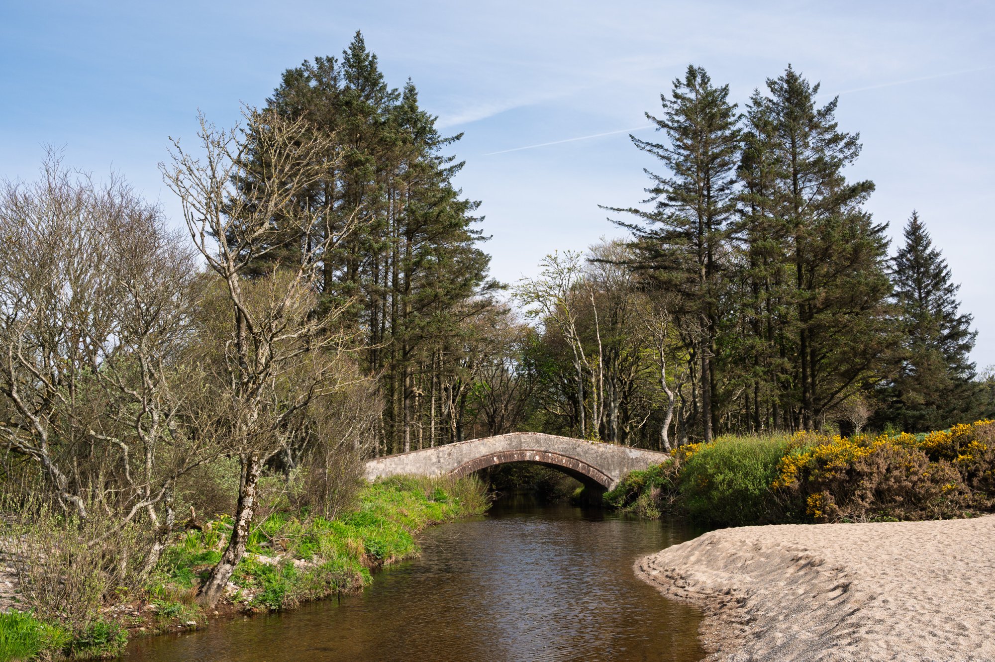 Saddell20250429.jpg