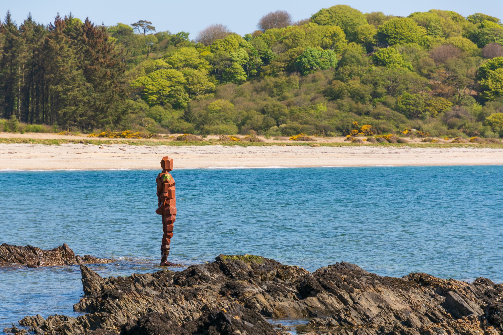 SaddellBay20170509.jpg