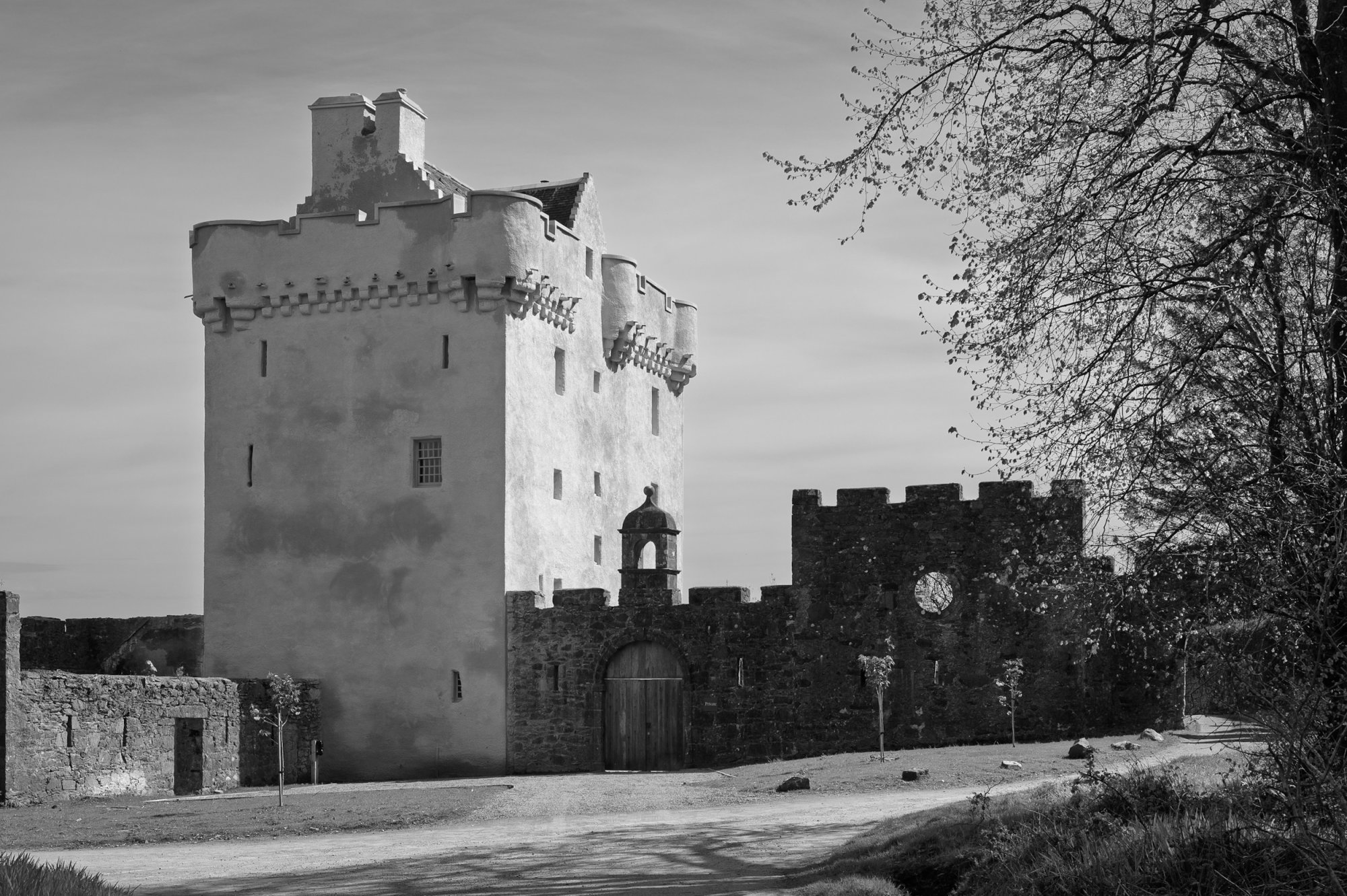 SaddellCastle20250429-3.jpg
