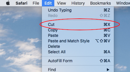 Safari-cut.jpg