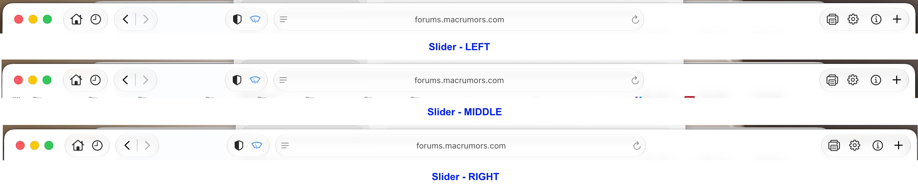 Safari.jpg