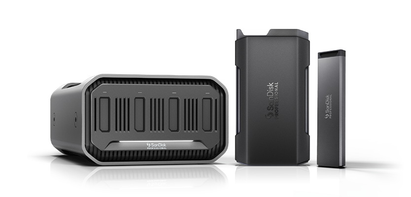 SanDisk Professional PRO-BLADE Family.png